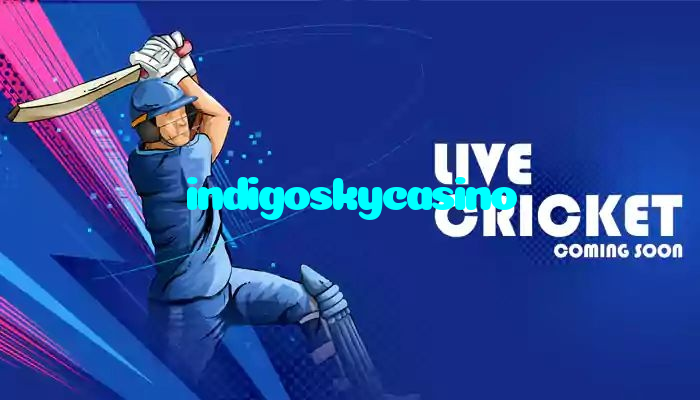 making first deposit on indigoskycasino website using local payment methods in Pakistan