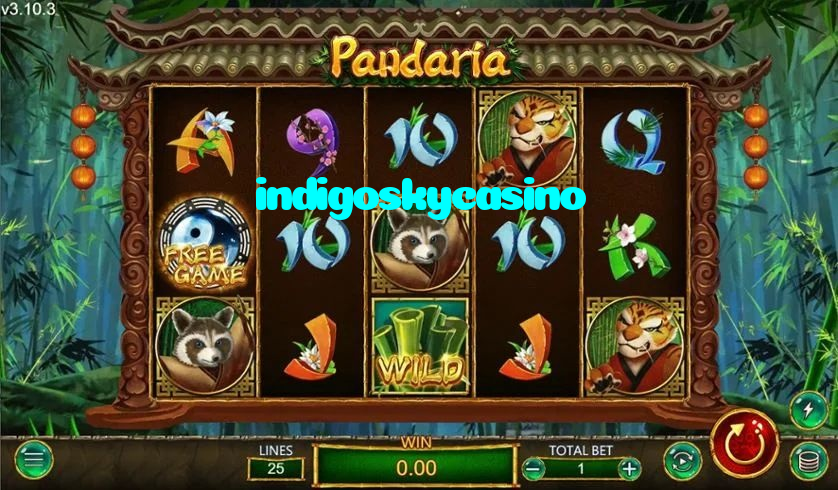 available types of indigoskycasino bet including pre-match live express and system bets
